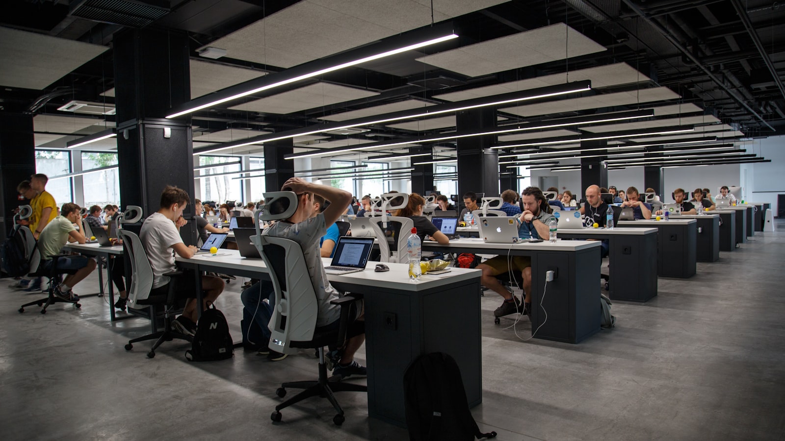 Painel de presença local e dados organizados